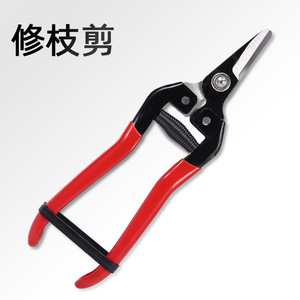 Short Straight-Tipped Fruit Picking Pruning Shears Stainless Steel Red 10-20 Mm Bypass Pruner For Garden - Product Image 2