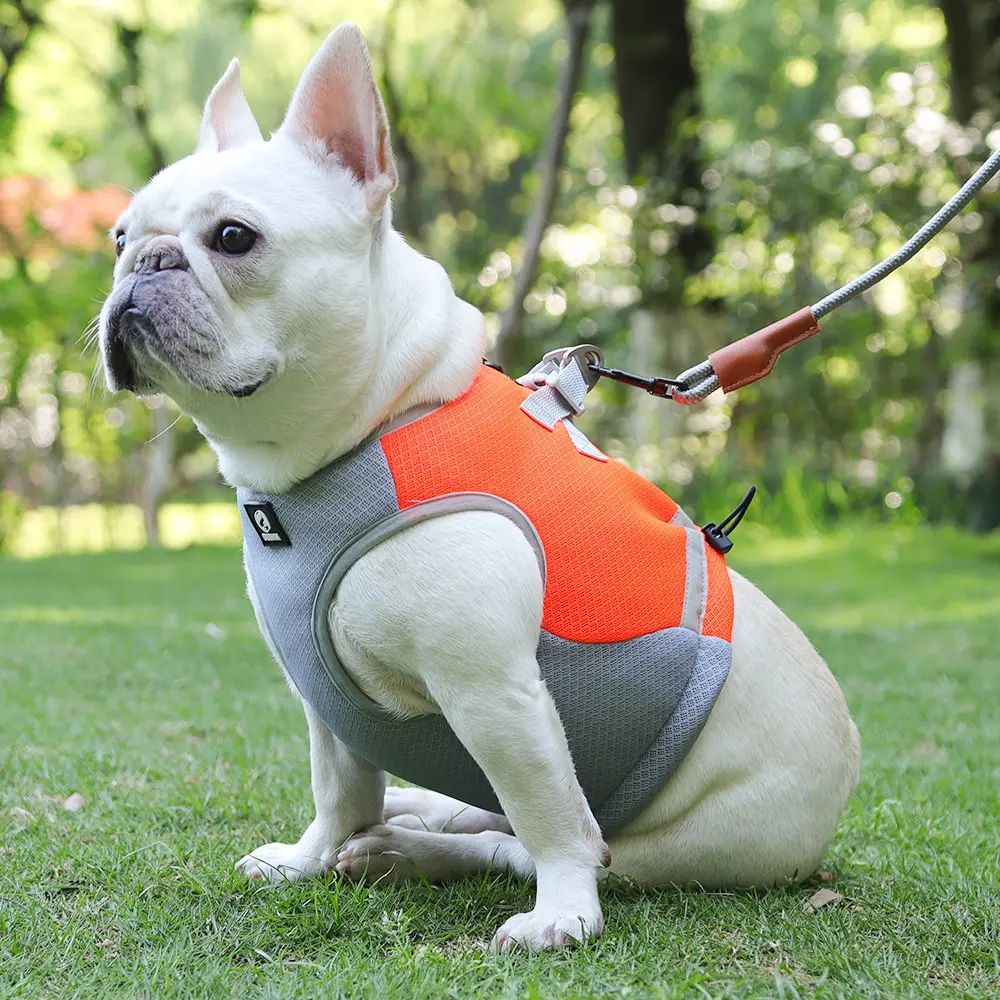 Customized iceland summer pet dog ice cover cooling vest harness collar cooling neck and cooling vest for dogs
