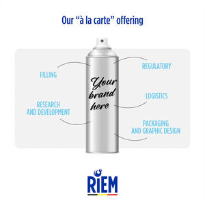 Aerosol profesional de planchado rápido y fácil con fórmula de primera calidad diseñada para telas naturales y sintéticas Aerosol de hierro Bulk OEM - Product Image 4