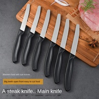 Couteau à steak dentelé en acier inoxydable personnalisé, couteau de cuisine en métal pour couper les fruits et le barbecue, personnalisable pour une utilisation en cuisine