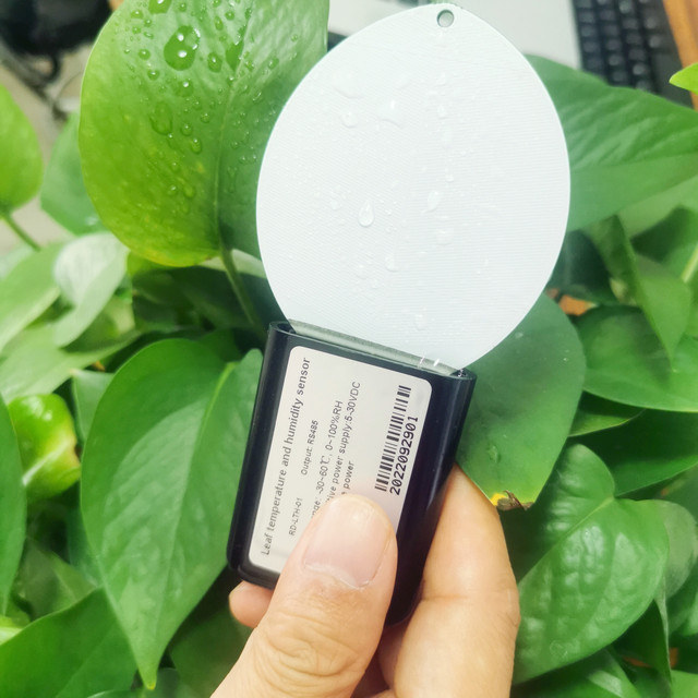 Digital Output Leaf Humidity Temperature RS485 Modbus Leaves Surface Moisture Test Leaf Wetness Sensor Price for Agriculture
