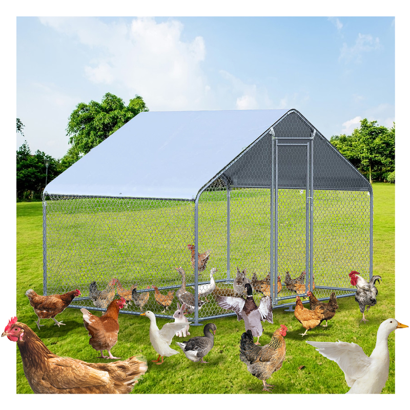 Large Cheap Metal Chicken Coop for