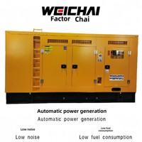 Groupe électrogène diesel silencieux Weichai Baudouin 250KW 300KVA Type super silencieux ATS et télécommande fréquence 50/60Hz