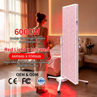 Panneau LED infrarouge REDSKY 660nm 850nm pour thérapie par lumière rouge sur tout le corps, 6000W avec support électrique
