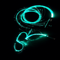 Fouet lumineux à fibres optiques LED rechargeable, jouet pour la danse, idéal pour les soirées en boîte de nuit