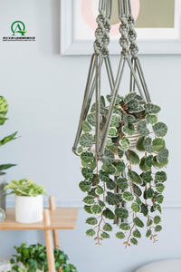 Chaîne artificielle de coeurs vignes sans Pot plantes en plastique pour salon salle à manger étagère bureau Table basse décor - Product Image 6