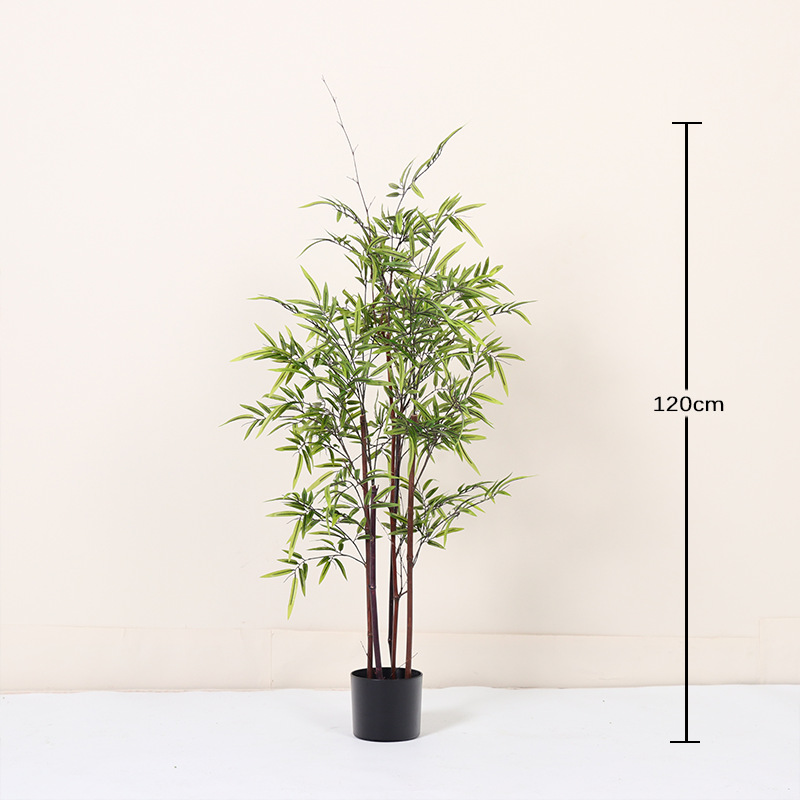 Purple stem bamboo120cm