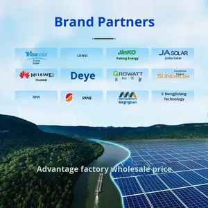 30KW Driefasige HV ESS Hybride Solar <span class=keywords><strong>Inverter</strong></span> SUN-<span class=keywords><strong>30K</strong></span>-SG01HP3-EU-BM3 |   97,6% efficiëntie 220/380V DC/AC - Product Image 6