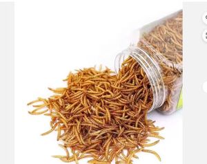Gusanos <span class=keywords><strong>de</strong></span> pez dorado <span class=keywords><strong>de</strong></span> alta proteína, comida seca para gusanos <span class=keywords><strong>de</strong></span> la harina para Koi King Betta, peces ornamentales, salmuera, <span class=keywords><strong>huevos</strong></span> <span class=keywords><strong>de</strong></span> camarones para caballos, ganado, cerdo, perro - Product Image 1