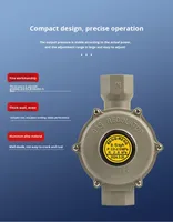 Válvula Reductora de Baja Presión de 6 Puntos con Estructura Angular DN20, Grado Industrial, Cuerpo de Válvula Reforzado, a Prueba de Explosiones