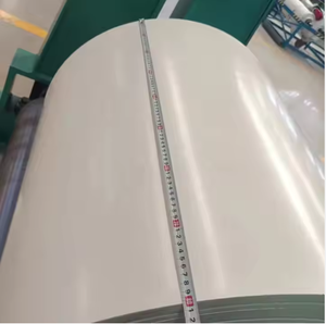 EP100 sabuk konveyor vakum putih <span class=keywords><strong>6m</strong></span> untuk plotter CNC untuk konveyor kualitas Premium buah - Product Image 1