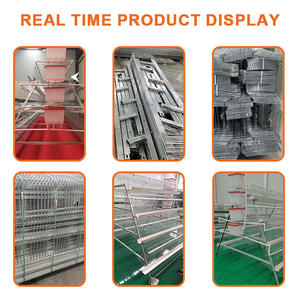 กรงเลี้ยงไก่แบบ A-Type สำหรับใช้ในฟาร์มกรงเลี้ยงไก่อุปกรณ์ชั้น - Product Image 5