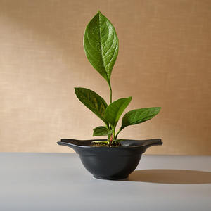 Disque en céramique émaillée de style japonais pour arrangement de fleurs, décoration d'intérieur rétro et plateau à eau d'<span class=keywords><strong>apprentissage</strong></span> pour débutants, <span class=keywords><strong>pot</strong></span> à fleurs - Product Image 4