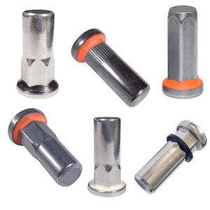 304 Stainless Blind <b>Rivet</b> <b>Nuts</b> with Red Sealing Ring Steel Carbon Steel Zinc-Plated Hexagonal <b>Rivet</b> <b>Nuts</b> - Product Image 1