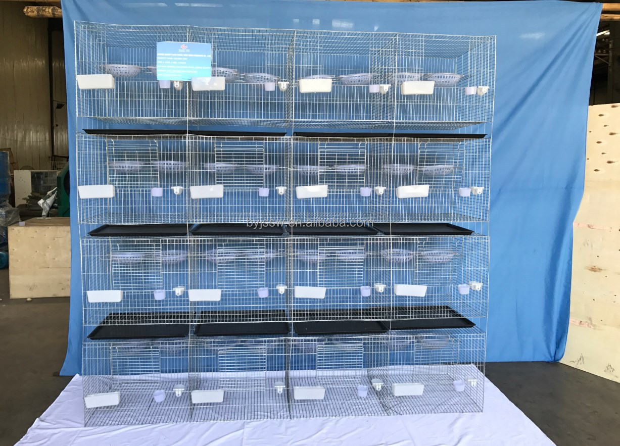 贸易保证鸽子繁殖箱出售