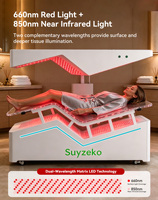 Lit de luminothérapie à haute intensité et zéro gravité avec télécommande, dispositif de photobiomodulation 660nm 850nm pour le soulagement de la douleur