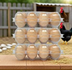 Boîte à œufs en plastique transparente de qualité supérieure, fabriquée en Turquie, 15 alvéoles, boîte à œufs en plastique, qualité alimentaire, recyclable, écologique, emballage de stockage pour œufs - Product Image 2