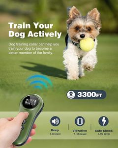 2025 nuevo <span class=keywords><strong>Collar</strong></span> de entrenamiento remoto para perros 2 en 1 <span class=keywords><strong>Collar</strong></span> de perro antiladridos con pitido vibración choque IP67 impermeable para Control de ladridos - Product Image 3