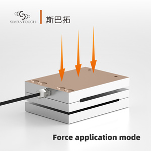 Cella di Forza Piatta a Basso Range per il Controllo della Pressione nel Conformaggio di Batterie, Test di Apparecchiature Automatiche - Product Image 2