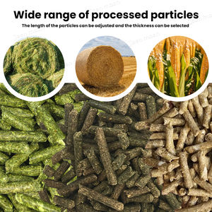 Ligne de production de granulés alimentaires pour bovins volaille granulés/mélangeur/palan fabrication d'aliments pour animaux broyeur Machine granulateur d'aliments pour animaux - Product Image 6