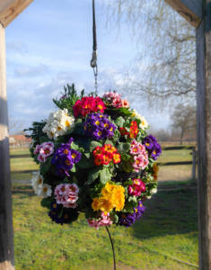 Macetas Colgantes para Jardín, Soporte para Macetas, Jardín Vertical Colgante, Macetas Decorativas en Forma de Bola, Ecológicas - Product Image 6
