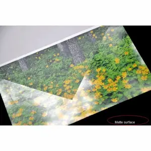 Película de rollo de laminación en frío autoadhesiva suave en película de etiqueta de molde para protección de fotos