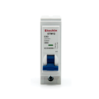 Disjoncteur miniature Etechin ETM12 6KA Certificat Kema 1P 2P 3P