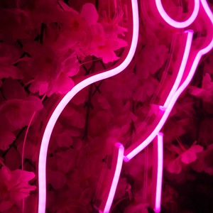 Mujer desnuda de señalización led de luz de neón de cartas - Product Image 4