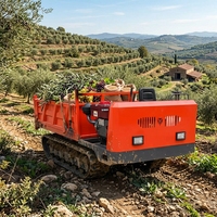Mini-dumper utilitaire agricole sur chenilles, télécommandé automatique, Diesel CE Euro 5, Agricola Agricolo 300 3t, avec siège, Prix