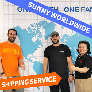 Transporte marítimo servicio de almacén DDP DAP FBA de China Shenzhen Shanghai <span class=keywords><strong>Ningbo</strong></span> a <span class=keywords><strong>Melbourne</strong></span> Australia FCL LCL - Product Image 4