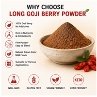 Poudre de baies de Goji LongBio, poudre de fruits entiers de Lycium Barbarum pour smoothies, boissons, yaourts, pâtisseries, OEM, marque privée, approvisionnement en vrac