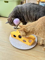 Jouet pour chat en feutre, durable, résistant aux rayures, écologique, pour l'intérieur et l'extérieur, puzzle d'exercice, ne perd pas ses poils, en promotion
