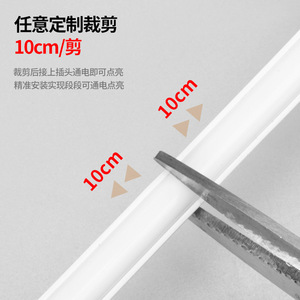 Tira de luz LED COB 220V 300 LEDS 10cm cortable para iluminación interior y exterior - Product Image 1