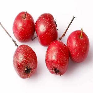 <span class=keywords><strong>GMP</strong></span> tiêu chuẩn chất lượng cao grataegi Fructus chiết xuất cấp thực phẩm Táo gai Berry bột chiết xuất dung môi đóng gói trong trống - Product Image 2