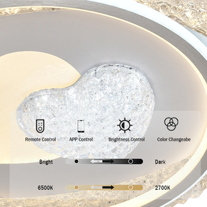 <span class=keywords><strong>Led</strong></span> trần ánh sáng vòng hai màu hiện đại ánh sáng trong nhà bảo vệ mắt bề mặt gắn kết cho phòng ngủ khách sạn Văn phòng nghiên cứu phòng - Product Image 3