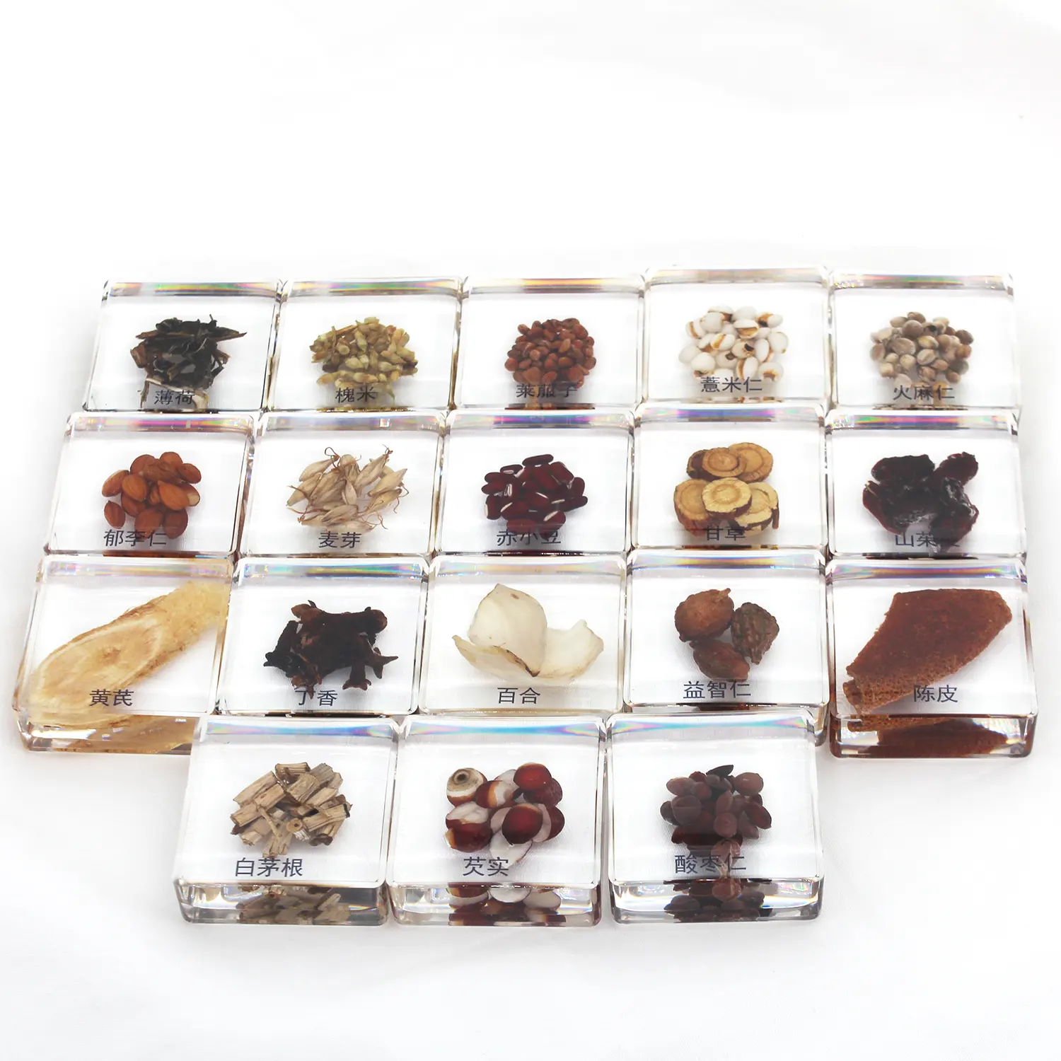 Çin otları tohumlar örnek paperweight reçine küp modeli kurutulmuş bitki koleksiyonu epoksi reçine