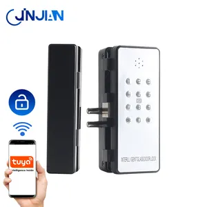No Drilling Install Frame Glass Door Fingerprint Password Swipe Card Remote Unlock Tuya Wifi Smart Lock