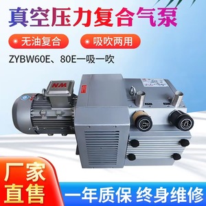 Bomba de vacío sin aceite Isge ZYBW100E 160Mpa para maquinaria de impresión y embalaje - Product Image 5