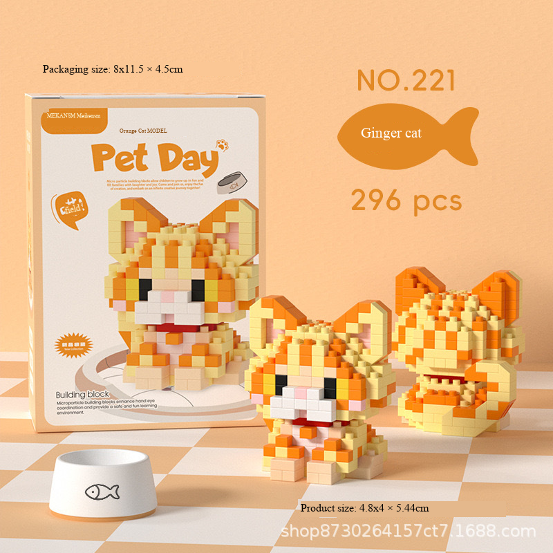K221 Orange Cat