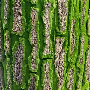 Casca <span class=keywords><strong>artificial</strong></span> de palmeira Roll up Grass Painel de parede Moss <span class=keywords><strong>Tree</strong></span> <span class=keywords><strong>Bark</strong></span> para venda - Product Image 5