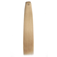 Extensions de cheveux à clips 100 % cheveux humains, double trame, sans dommages, pose rapide, retrait facile.