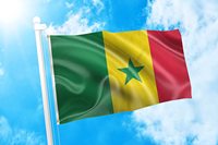 Vente en gros 3x5ft 100D Polyester résistant aux UV Drapeau extérieur République sénégalaise Sénégal Équipe nationale masculine de football