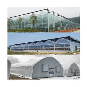 Pasokan pabrik bingkai baja penuh rumah kaca pertanian untuk tomat mentimun pembibitan terong dengan sistem hidroponik