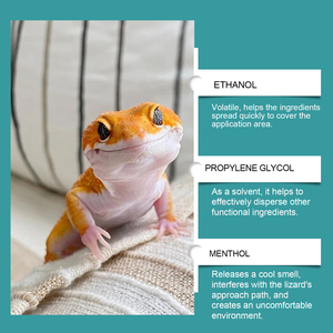 Spray Répulsif pour Lézards et Gekos, Adapté aux Animaux de Compagnie, Formule à Base d'Huiles Essentielles Végétales, Sûr pour l'Intérieur et l'Extérieur, Éloigne les Reptiles, Maison, Bureau, Jardin - Product Image 3