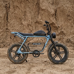 <span class=keywords><strong>Vélo</strong></span> électrique tout-terrain 7 vitesses avec écran LCD, <span class=keywords><strong>vélo</strong></span> électrique à gros pneus puissant pour les sentiers de sable et de boue - Product Image 4