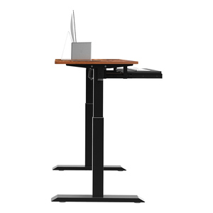 Op Maat Gemaakte Enkele Motor Elektrische Hoogteverstelling Gaming Desk Home Office Study Multifunctionele Tafel Verstelbaar Voor Comfort - Product Image 4