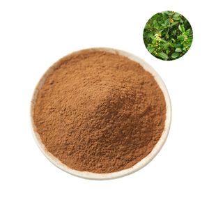 प्राकृतिक खाद्य ग्रेड जिमनामा साइवेस्ट्रे लीफ अर्क पाउडर 75% 25% 50% के साथ - Product Image 1