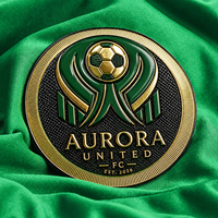Écussons de football, logo de club de football, patch 3D en TPU souple gaufré haute fréquence, imprimé par transfert thermique, thermocollant pour vêtements
