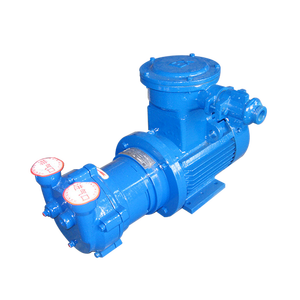 5.5kw/7.5kw 2BV Bomba de vacío de anillo líquido industrial Serie 2BV Horizontal 2BV2061 Bomba de vacío de anillo líquido/agua - Product Image 4