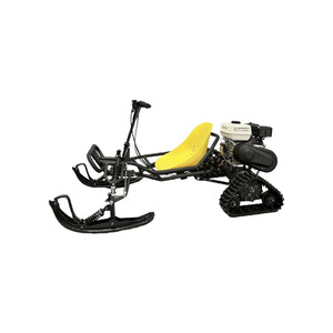 Kart à chenilles version glace et neige pour parcs de loisirs, sites touristiques et terrains de neige - Product Image 3
